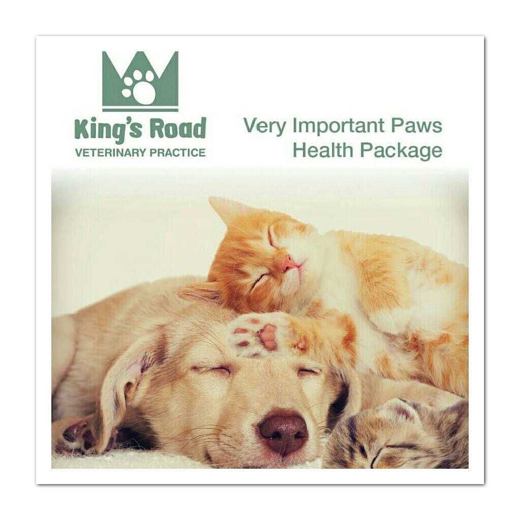 Very Important Paws Health Package