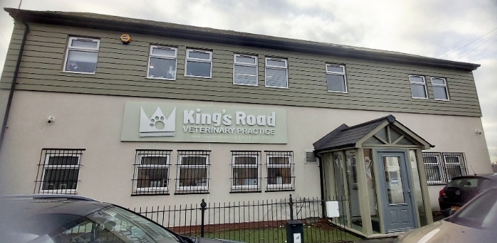 Kings Road Veterinary Practice – We Treat Your Pets Like Royalty